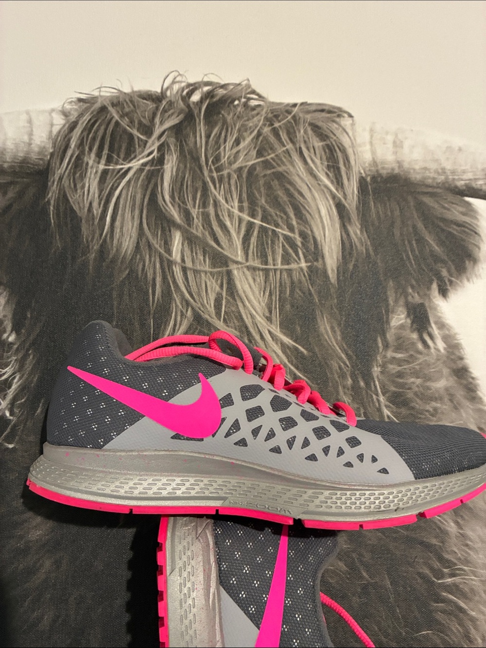 Nike Women's Gray with Pink Accent Running Trainers